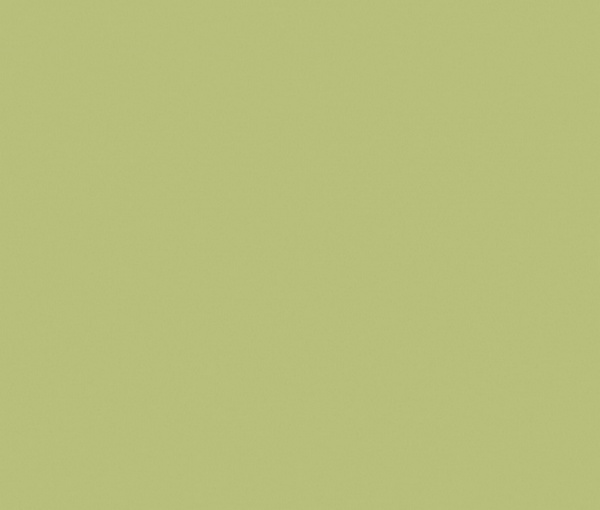 F3007 Оливковый