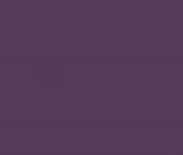 F6903 Черная смородина