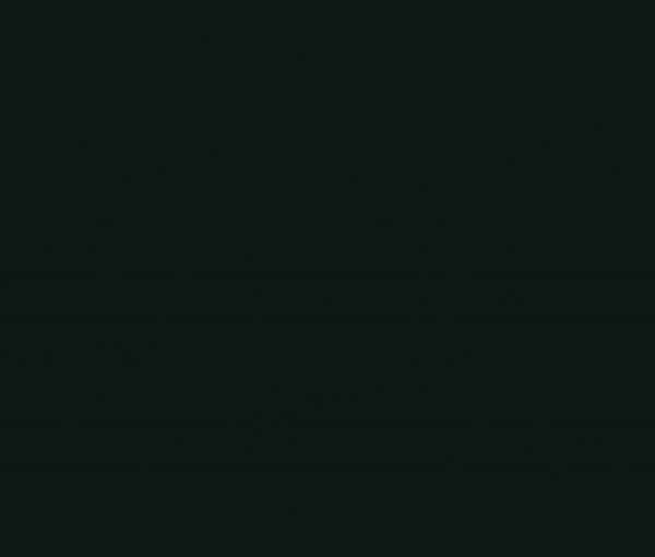 F2253 Черный алмаз