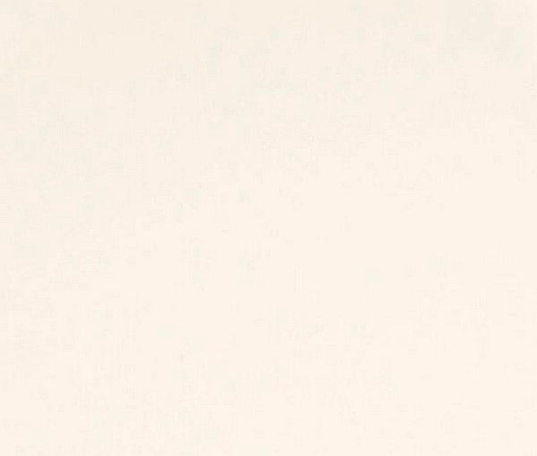 ALV0201/Z магнолия суперматовый ZENIT