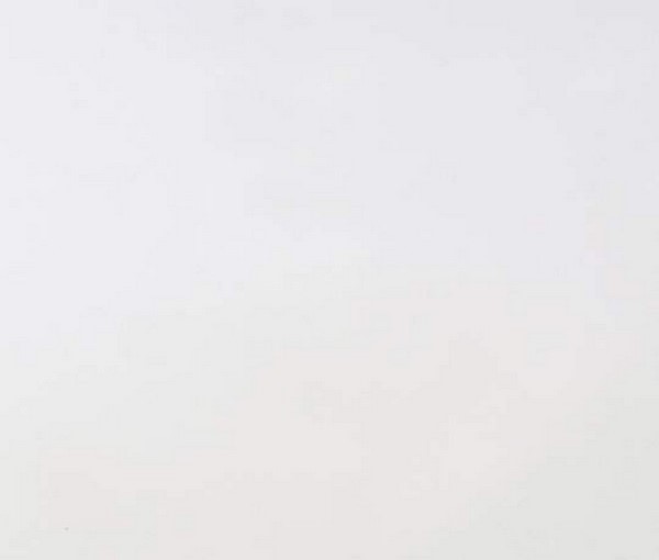 ALV0011 белый полар глянец LUXE