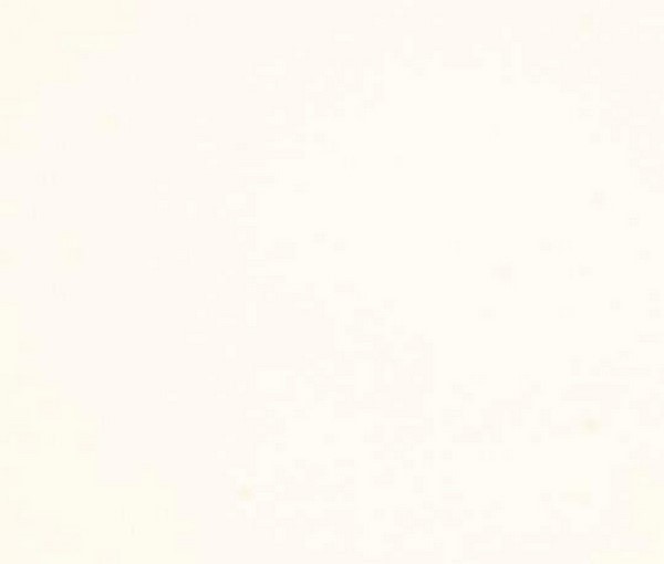 ALV0200/Z белый суперматовый ZENIT