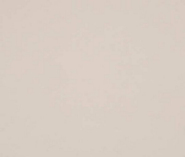 ALV0204/Z кашемир суперматовый ZENIT