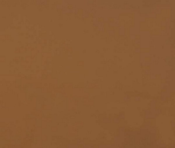 ALV0016 спелая тыква глянец LUXE