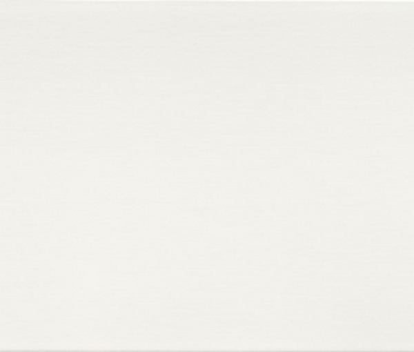 6004 Белый перламутровый (глянец)