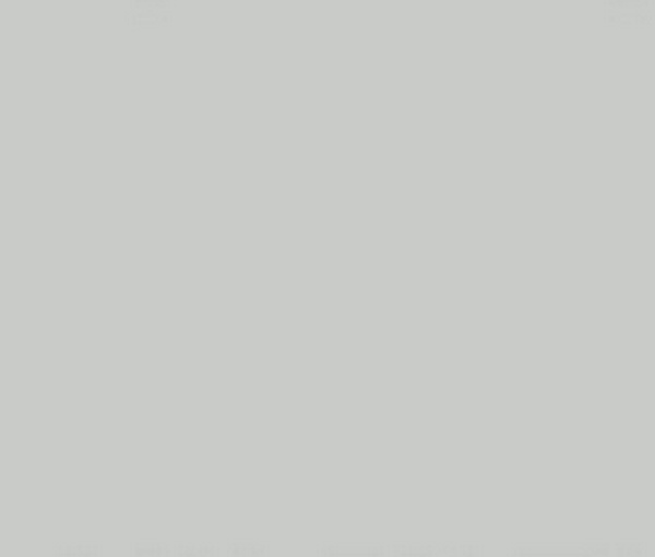 6020 Тренд серый (глянец)