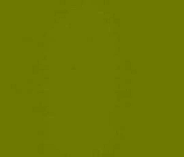 645 Олива зелёная (глянец)