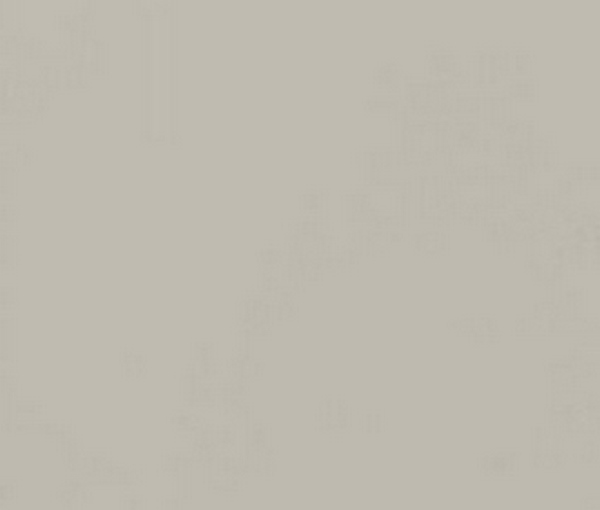 6008 Серый делюкс (глянец)